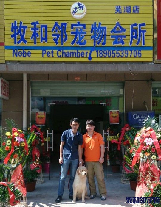 牧和邻宠物连锁(安徽省芜湖店)盛大开业