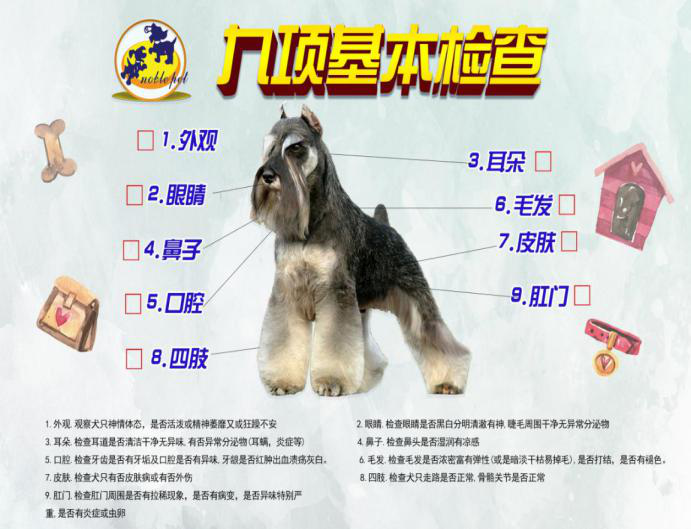 【中国农科院】王博士和【中国宠物行业白皮书】刘总到访“牧和邻宠